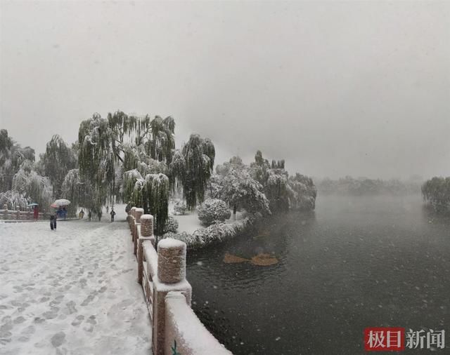 新闻记者|近10年最早初雪光临济南，市民赞雪中大明湖“宛如仙境”