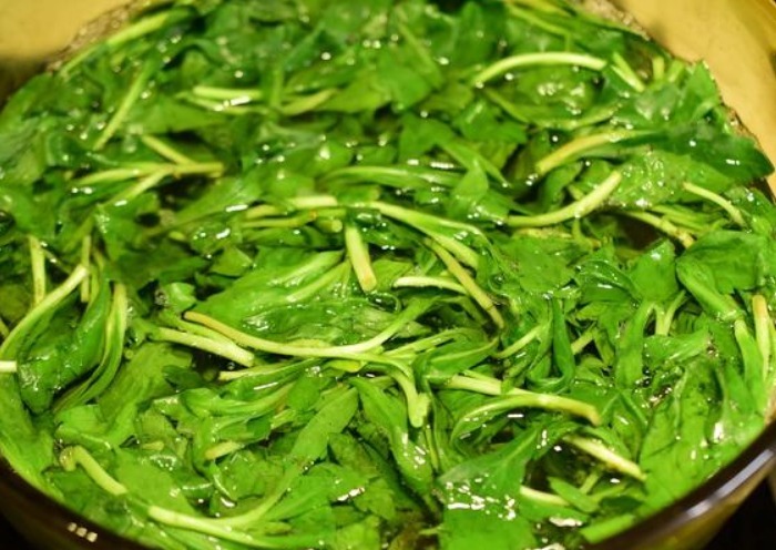 凉血止血|这种野菜路边很常见,凉血止血、清热利湿,最适合高血压食用!