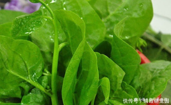 滋阴|女性要排毒,多吃四种食物,滋阴补肾,有助睡眠,甩掉小肚腩