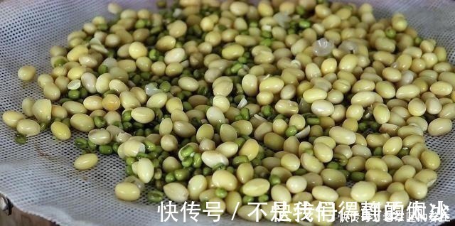 黄豆不打豆浆了,加1把绿豆,简单一做,天天吃都不腻,太香了