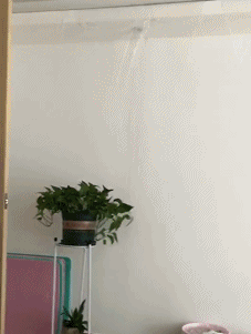 |搞笑GIF:学学吧!关键时刻能救你一命