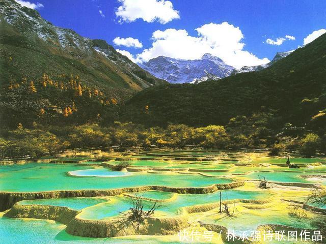 美景|阿坝黄龙美景