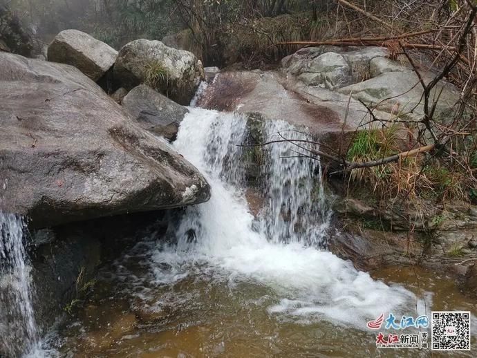 实拍|江西武宁：十里野樱醉游人