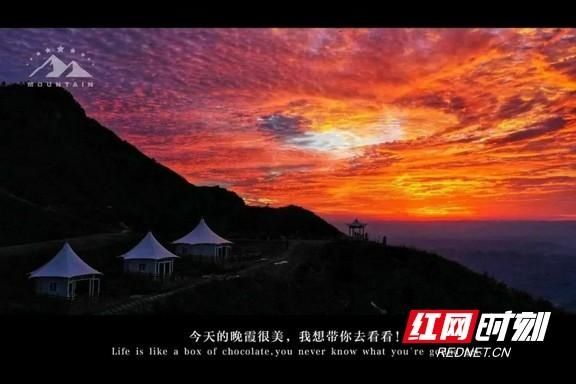 八面山|叶红专：风景正好八面山