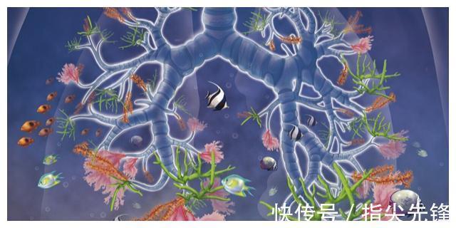 海绵宝宝|可用之处不多,但却使人渊博的23个有趣冷知识