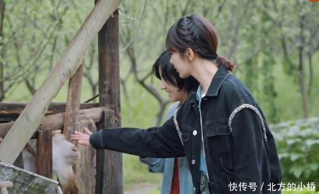 张艺兴 辟谣还是逼婚?黄磊:艺兴30岁和杨紫不正合适?回:不懂爱!