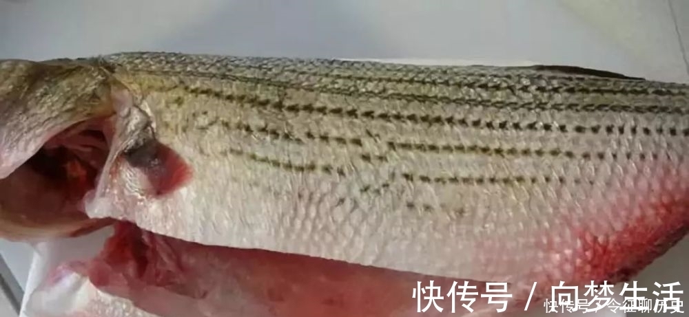 腥法|去鱼腥味,加酒加醋都不对,大厨教你去腥,上桌连汤汁都不剩