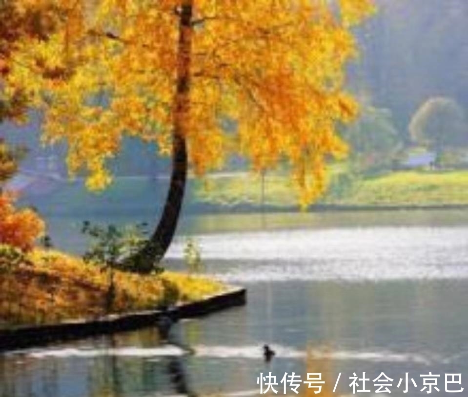 枫桥$枫桥诗歌:古风,身外风光