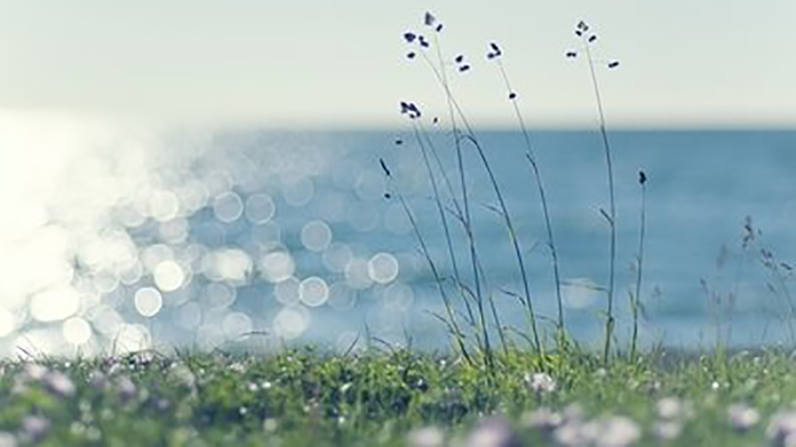 夕阳|李商隐被排挤出长安后,倍感庆幸写下一诗,颔联成千古名句