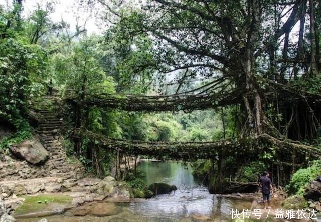 印度最“牛”桥梁，不用钢筋混泥土支撑，历经500年却越来越牢固