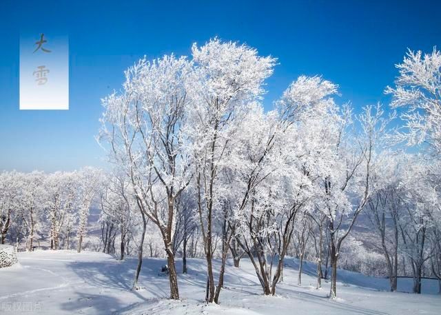  砂锅菜|大雪后天气寒冷，试试这4道砂锅菜，炖一炖就能上桌，吃完超暖和