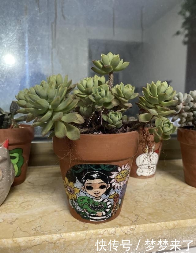 幸福|小小的幸福,多肉露养到秋天的收获
