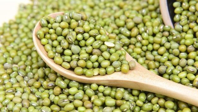 夏天|炎热的夏天,绿豆3天就能发芽,一碗绿豆发一盆,再也不用买了