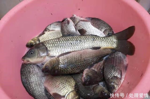 野钓鱼儿活跃水层多变,如何快速定位鱼层两个方法三个原则