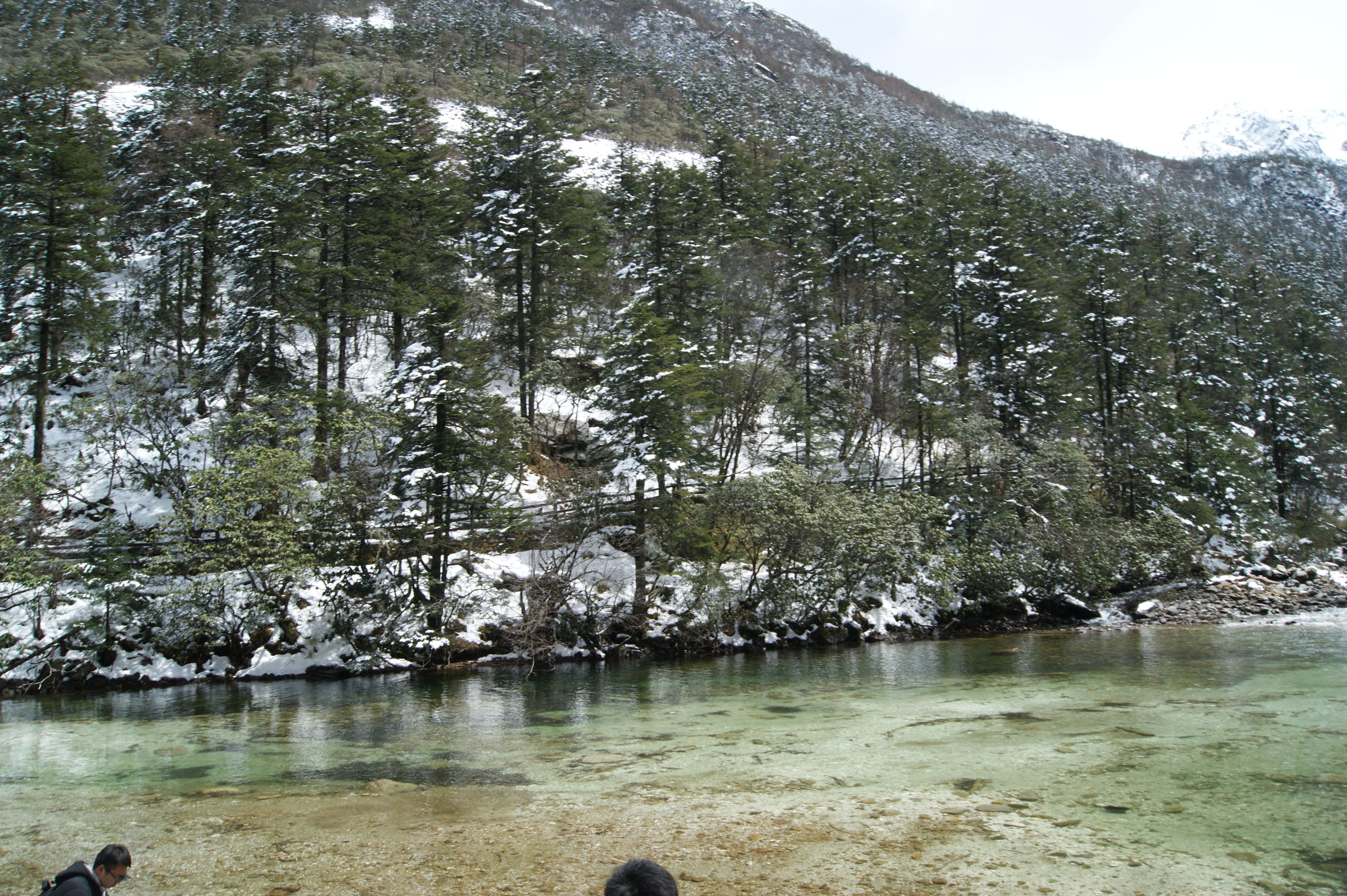 康定木格措行|【康定木格措行09】四川康定县木格措景区{七}