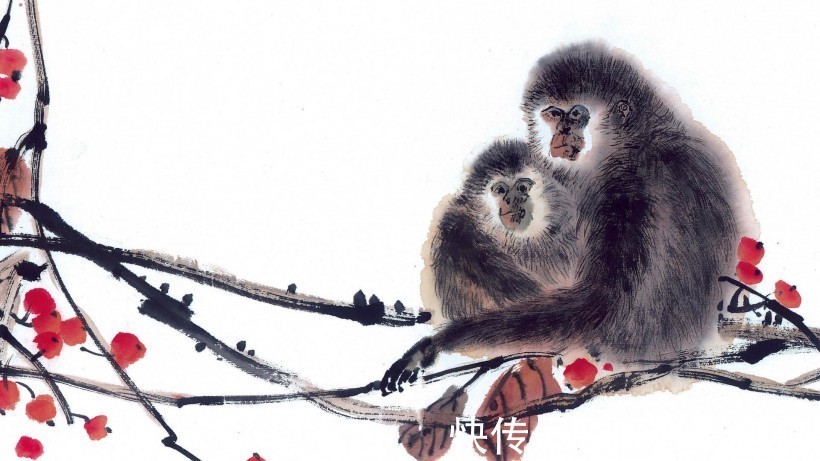 生肖猴|10个猴九个富哪4个月出生的属猴人，吉星照佛，大器晚成！