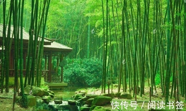 九月九日忆山东兄弟&王维10大名诗排行,《九月九日忆山东兄弟》仅第六,前五是何诗?