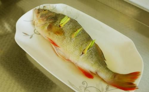  口感|这4种淡水鱼口感最棒，怎么做都好吃，味鲜肉嫩，营养更丰富