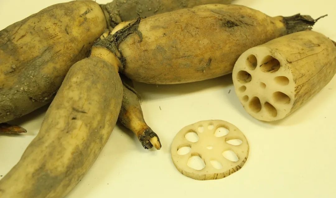 莲须|一物“六药”,全身都是宝!清心安神,补脾止泻,搭配这4种方法效果更好