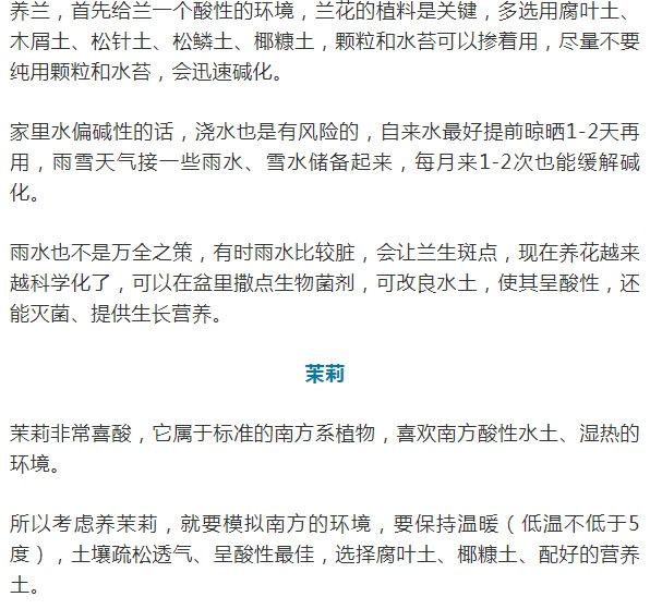 这10种花爱喝醋，浇水加点酸，叶子油亮爱开花！