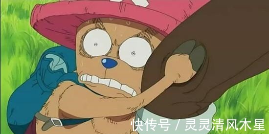 阿普|海贼王中狐假虎威的人,洛克斯达与白胡子对话不怂,阿普不受重视