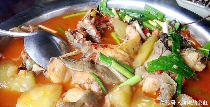 最脏|被“误会”最深的鱼,1斤4元无人吃,却比鲤鱼好吃比鲫鱼营养