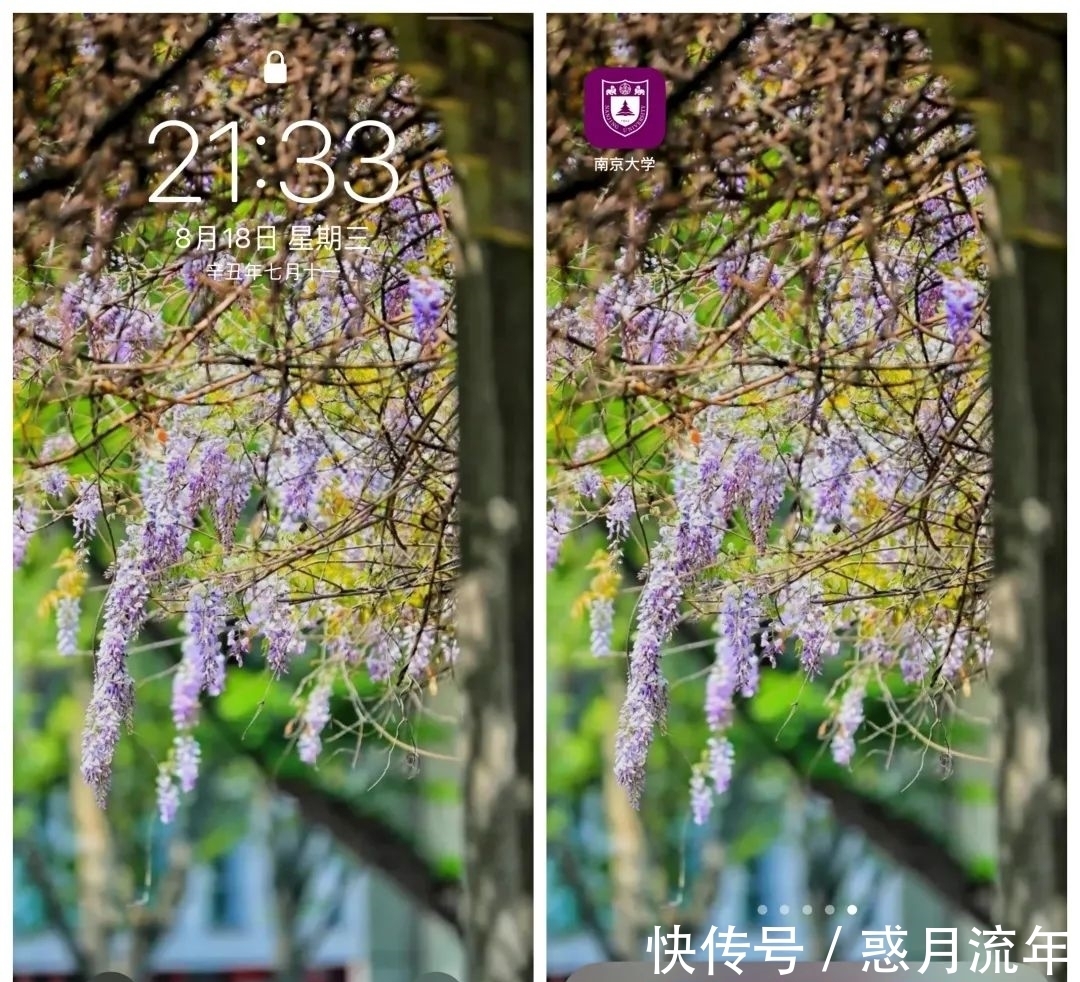 壁纸|美!美!美!南大专属壁纸来啦~