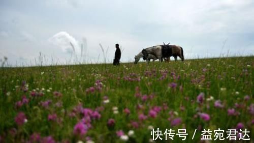 草地|最适合带父母旅行的地方，零距离贴近自然，还是狼图腾的取景地！