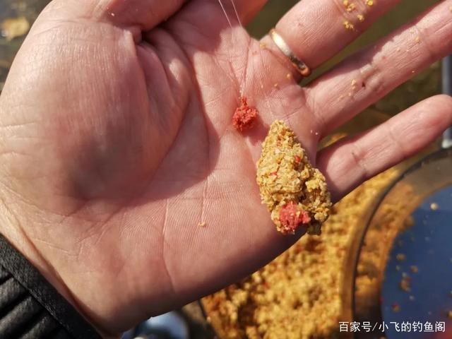 鱼越钓越小是一种信号,野钓中碰到要注意,得赶紧做出调整