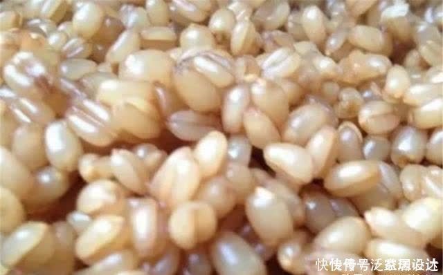 鲫鱼|仲春适合野钓大板鲫,介绍几款自制“素饵”,钓大鲫鱼很给力