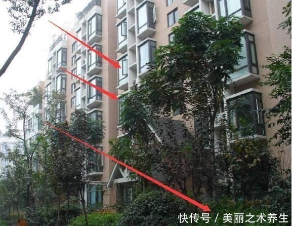 买房|买房选东户还是西户听过来人分析，原来好多人一直选错！