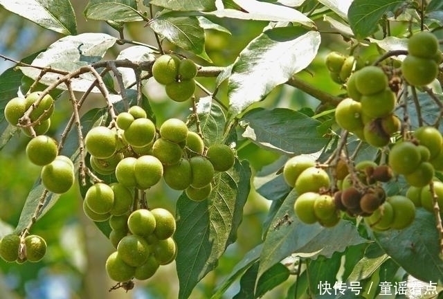 果油|起床洗脸后没有这3个现象,说明脸上一只螨虫都没有,恭喜你