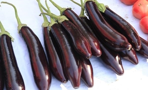 適當吃點茄子,4個好處“不請自到”,但這3類人,盡量避免