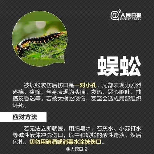 恙虫|江西男子被它叮了一下，紧急抢救