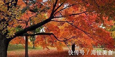 野人期$张抡最经典的一首词,诗中有画,辞意兼美,令人心醉