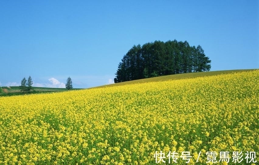 处女座|婚姻很幸福，但是习惯晚婚，并不主动的星座