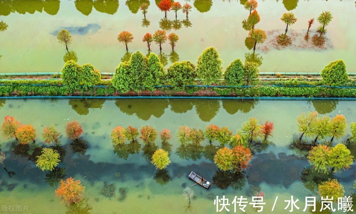 白雪诗@止于唇齿,匿于流年,谁的岁月,弹指刹那,谁的沧桑,掩去芳华