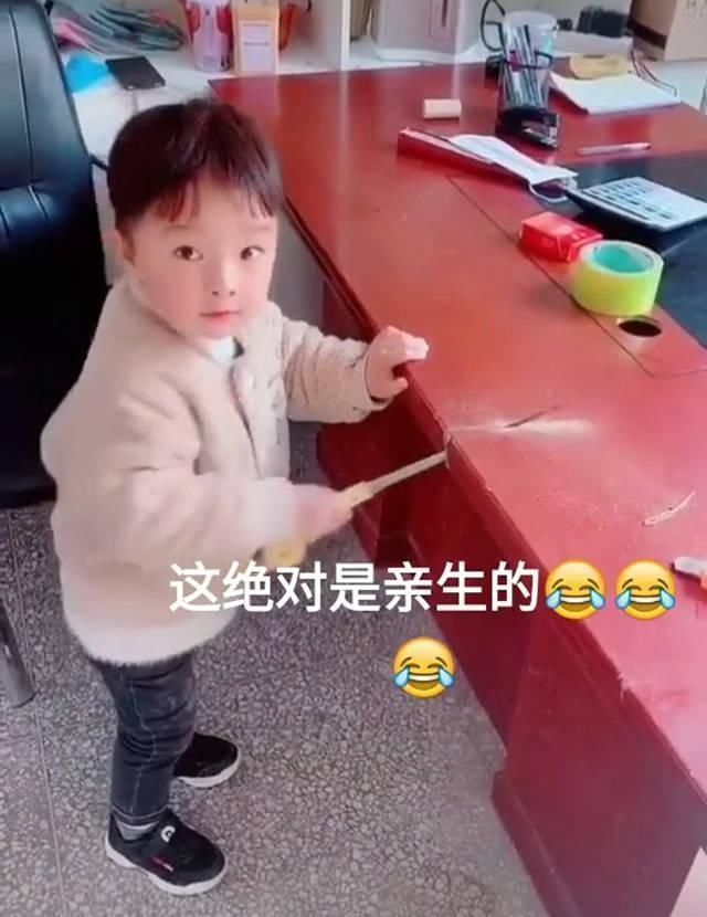 锯子|趁爸爸午睡,儿子给爸爸的书桌“开了刀”,爸爸感觉脖子凉飕飕的