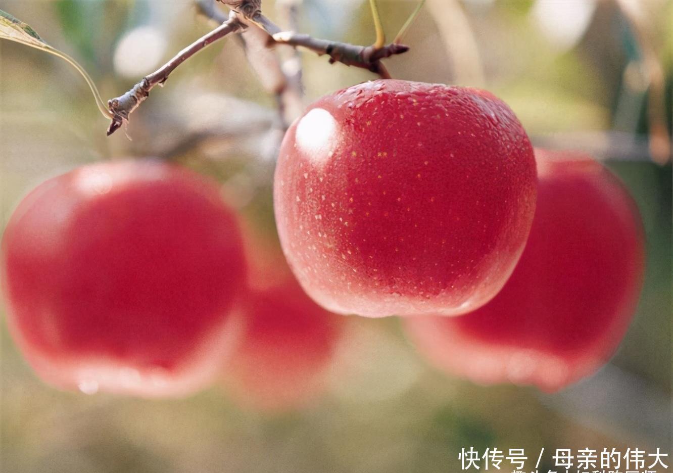 陈医师|女性不妨多吃3种食物,提神醒脑,养护肌肤,早吃早好!