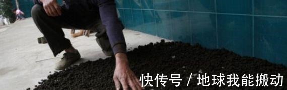 养花时,盆底铺上30粒“它”,比鸡蛋清、骨渣都管用,养啥爆啥!