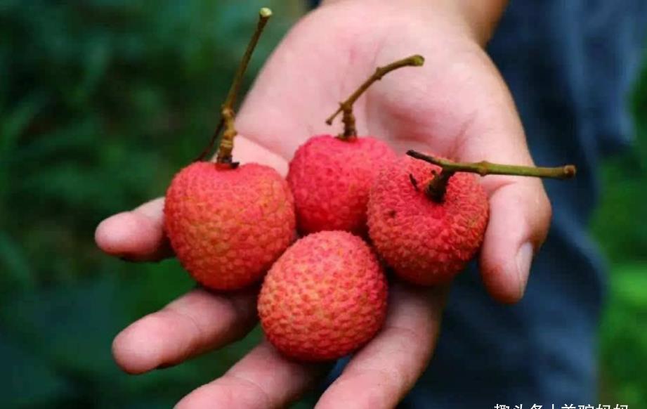 孕妇|怀胎十月,孕妈要做到“水果4不吃”,并非瞎讲究而是在保护胎儿