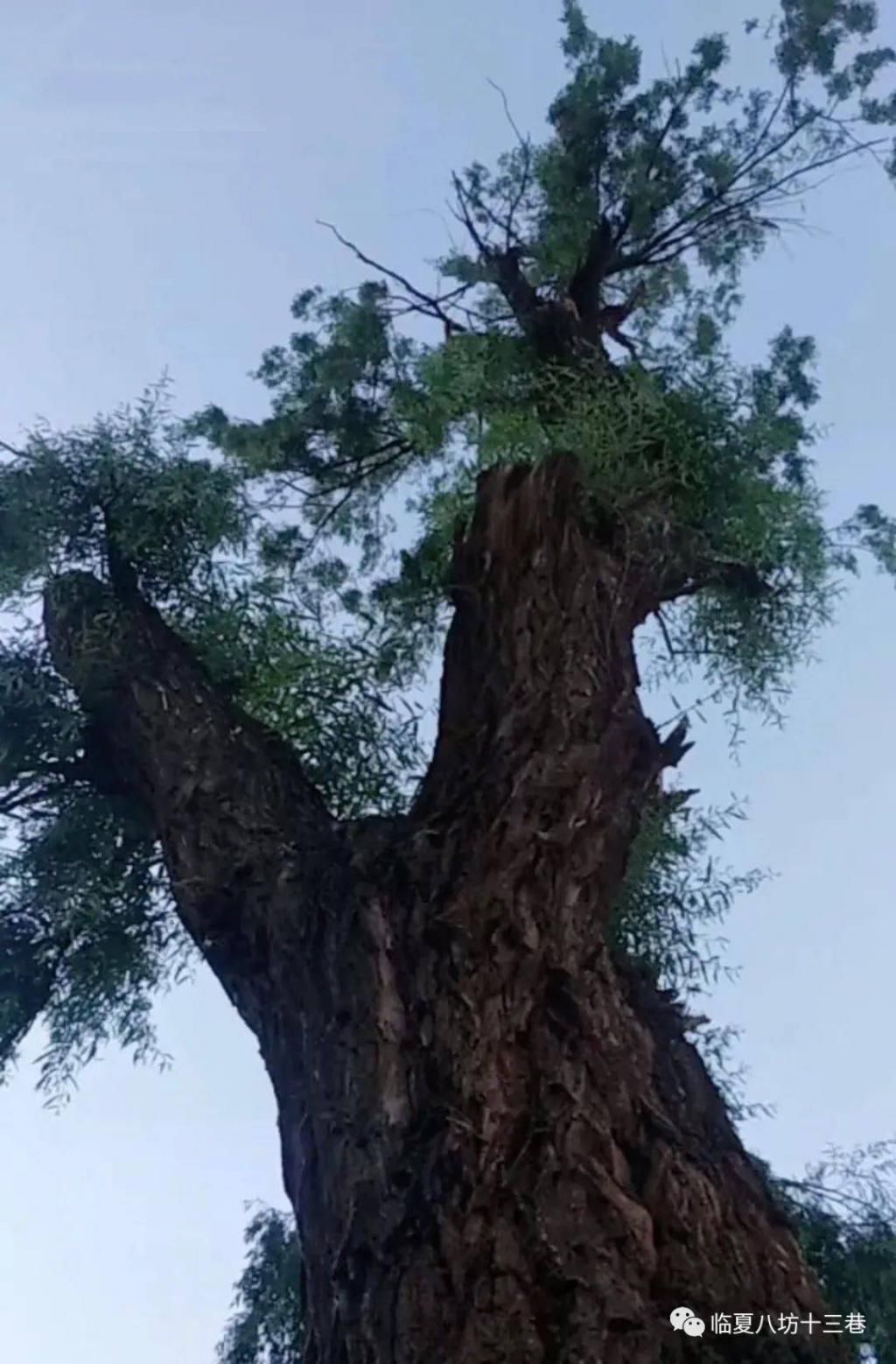 活色生香的古巷，文化气息浓厚，夜景太迷人美食太诱惑～