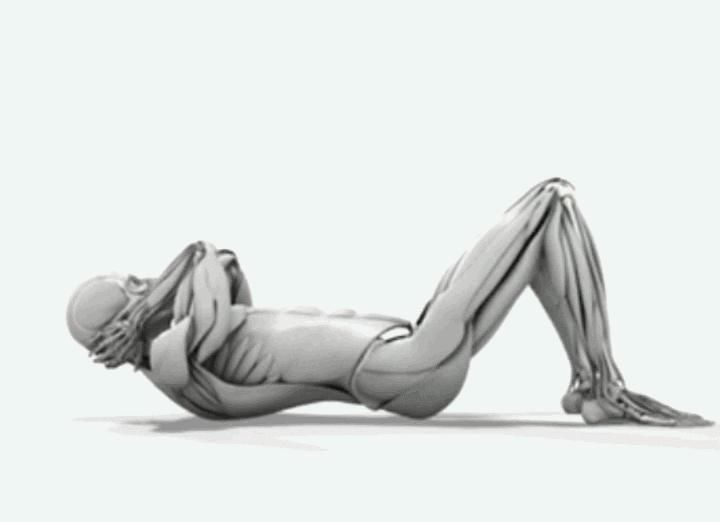 肌群|不去健身房,怎么练出一身肌肉附一周4练健身动图