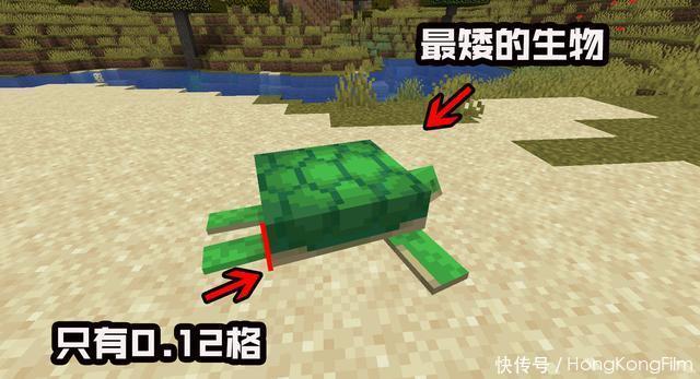 我的世界海龟下蛋条件