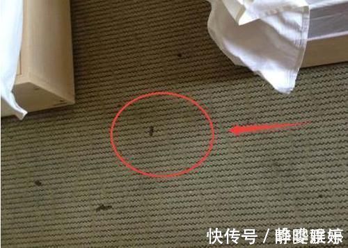 装修|装修完搬进新家三天三夜睡不着!这12个装修坑让人疲惫,白糟蹋钱