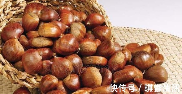 保存板栗不要直接放冰箱，良心果农教你一招，放一年也不发黑生虫！