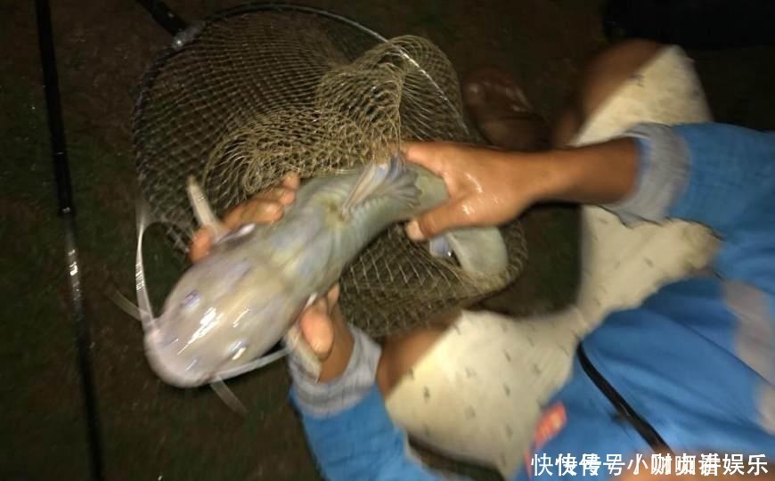 夜钓长江,钓起一条三斤多怪鱼,有老渔民认识