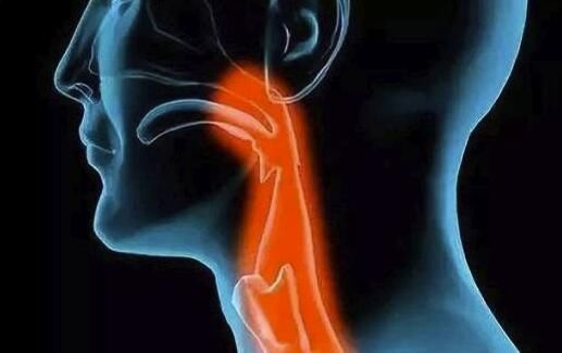 危险因素|出现前胸或后背隐痛,别忽视了食管的问题