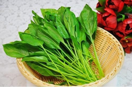 春季养肺养生食品，你值得拥有所有