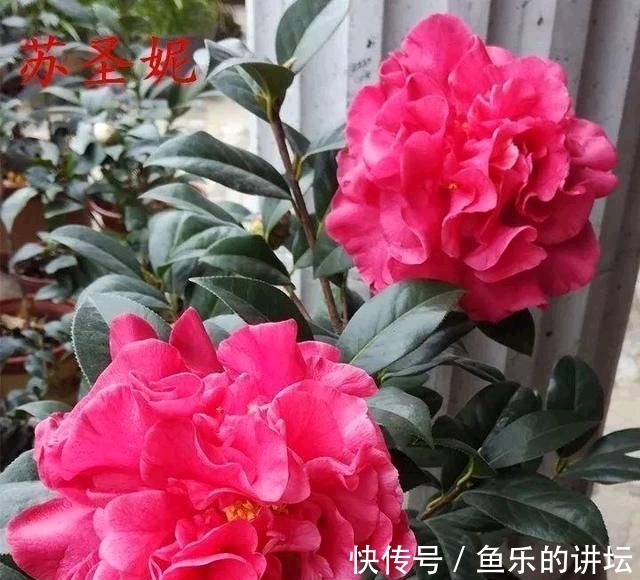 脾气|孩子脾气差?巧用“面壁思过法”,帮助孩子迅速脱离不良情绪